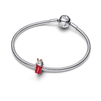 Charm Pandora in Argento Cubic Zirconia 795062C01 - 795062C01